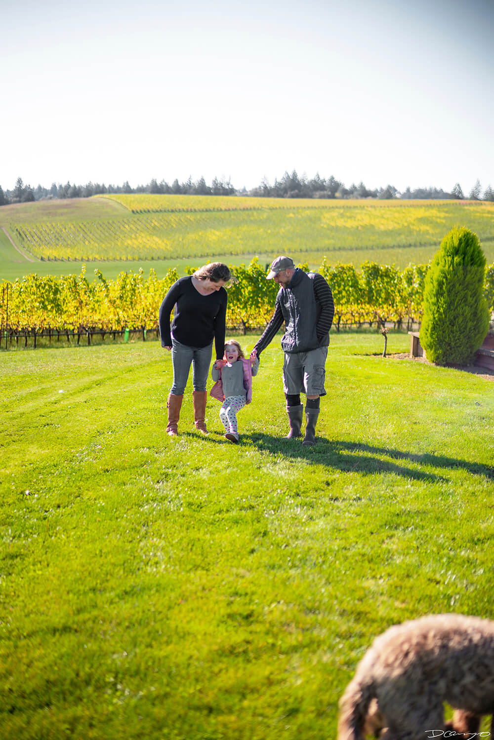 Photos with Communique Wines in McMinville, Oregon, in the Fall of 2020.